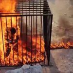 8 people caged, tarred and burned by ISIS for escaping Hawija.