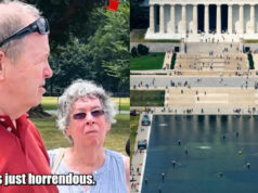 You Have to Work Really Hard to Get This Dumb: Liberal Spills the Real Reason They Oppose Trump’s Reflecting Pool Makeover (Video)